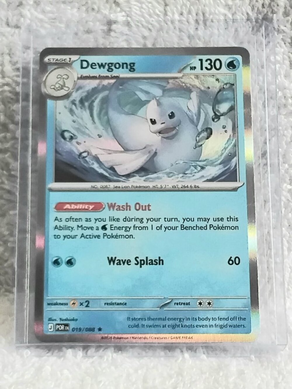 Mint 2026 Pokemon Dewgong Rare ☆ Holo Card 019/088!!
